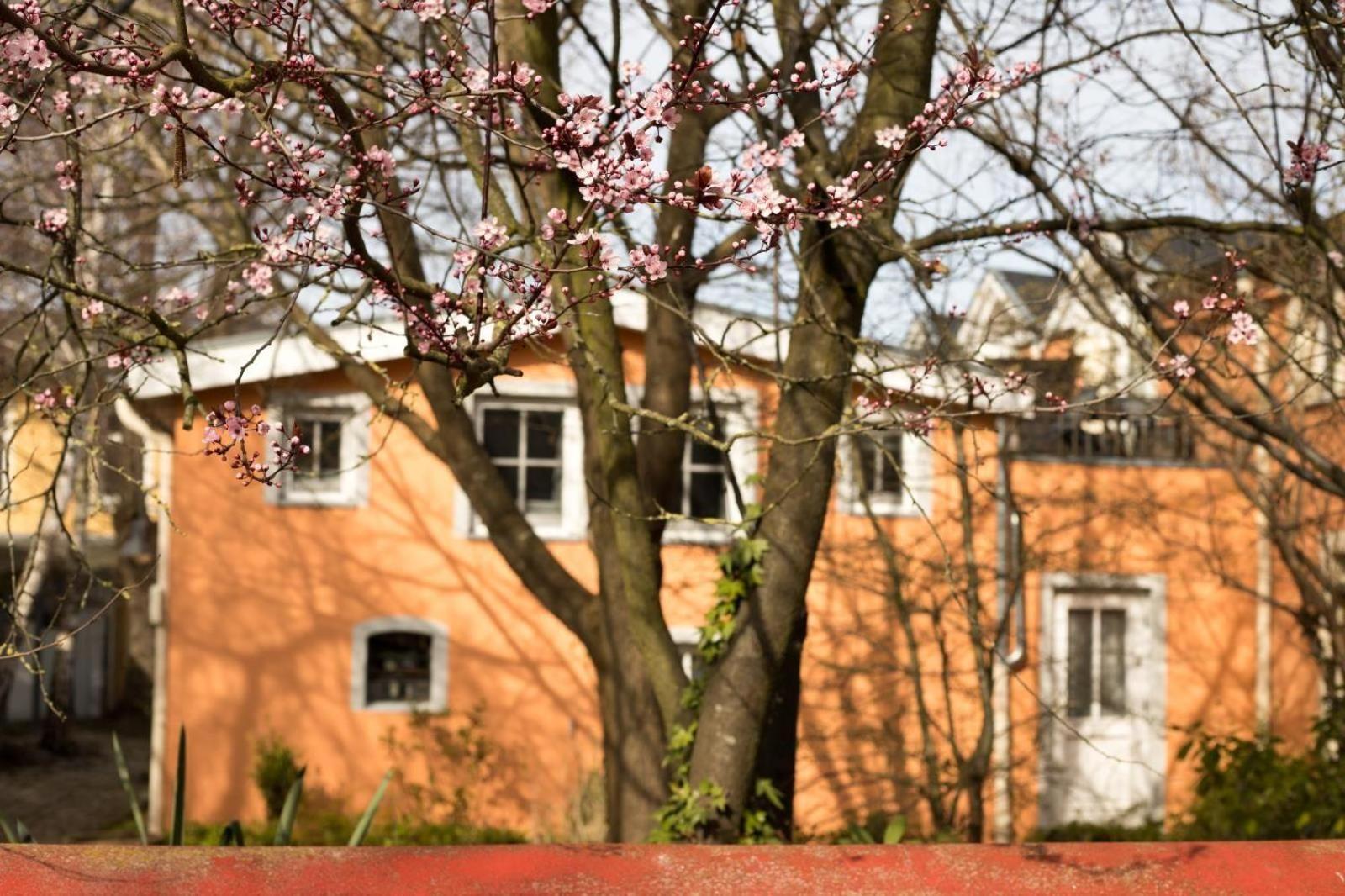 Auf-Den-Hoefen-Wohnung-05-Kleines-Glueck Ostseebad Kühlungsborn Exterior foto